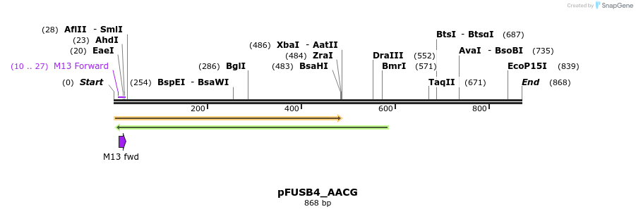 70804_map