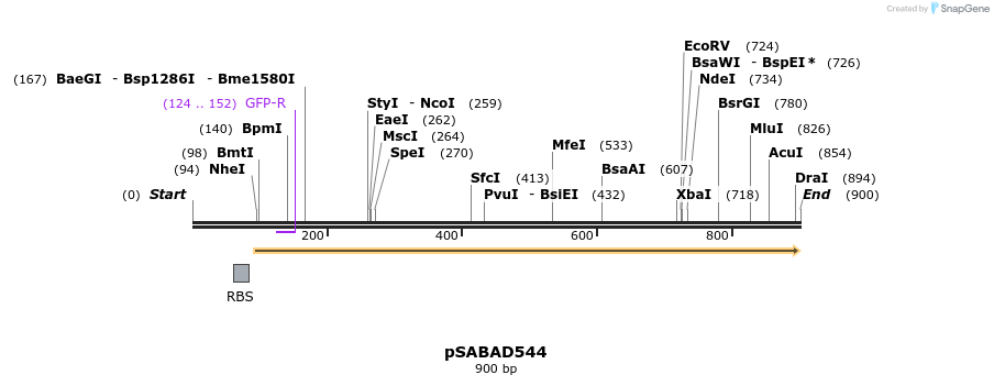 70805_map
