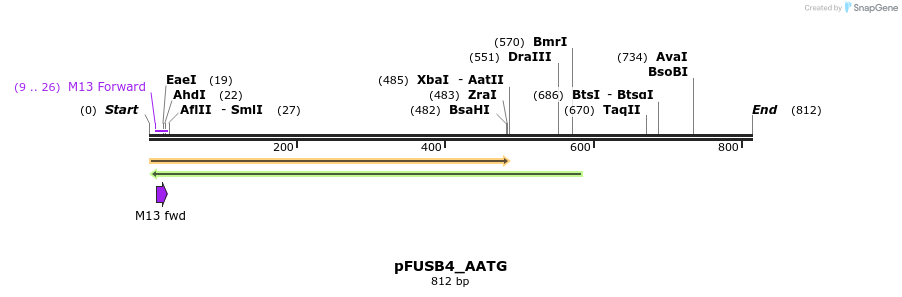 70806_map