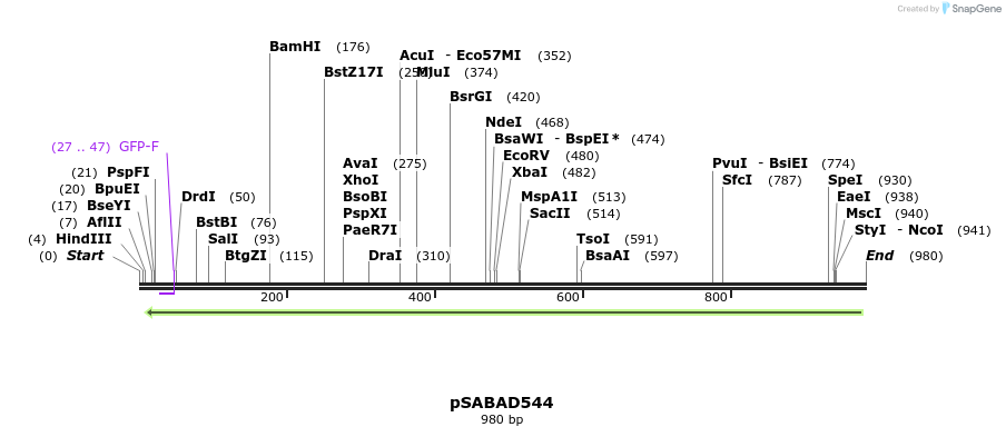70807_map