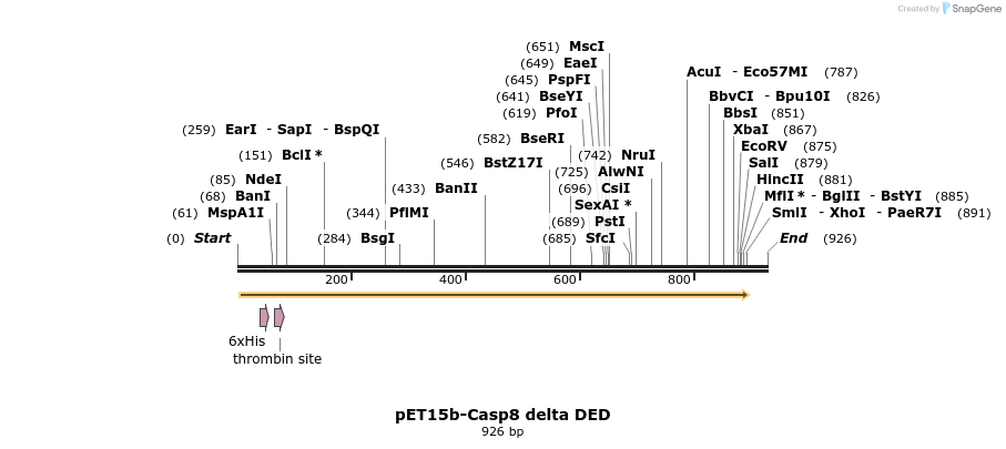 7081_map