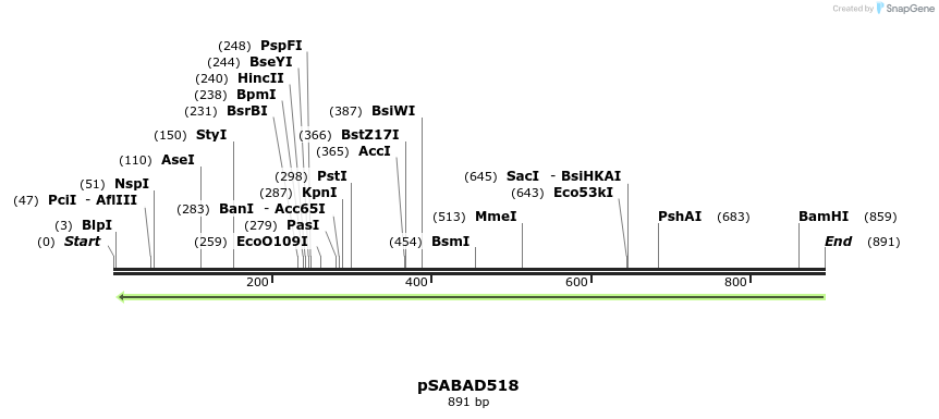 70810_map