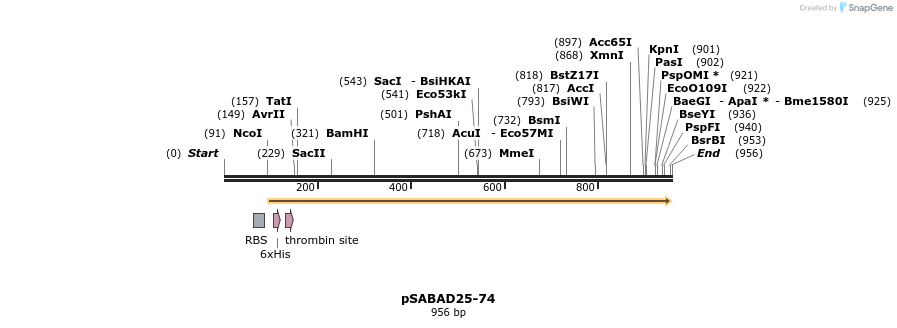 70813_map