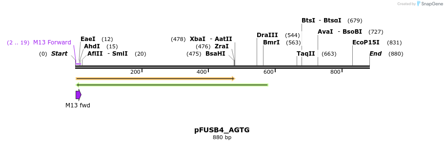 70814_map
