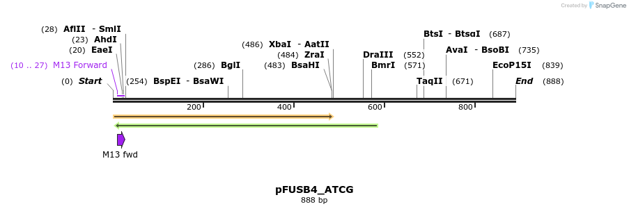 70815_map