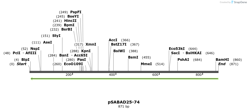 70818_map