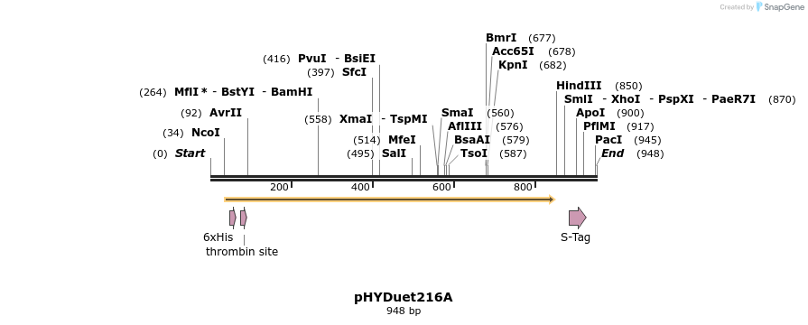 70821_map