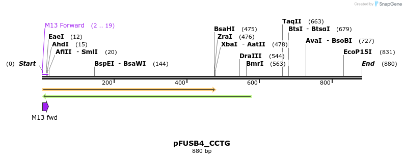 70822_map