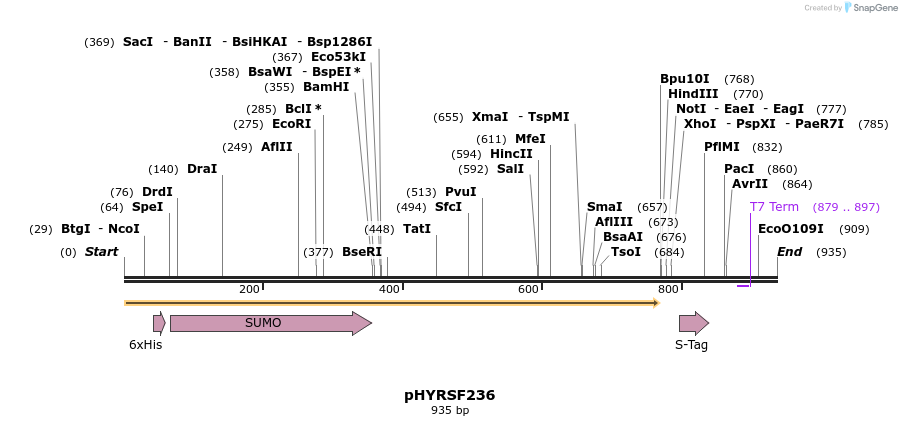 70825_map