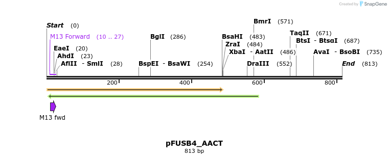 70828_map