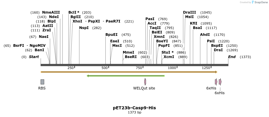 7083_map