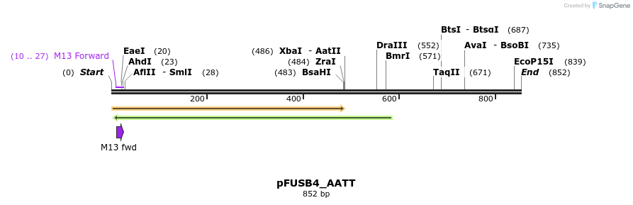 70832_map