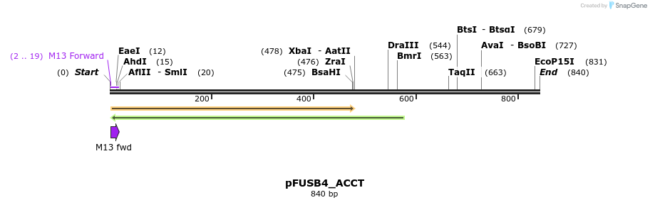 70833_map