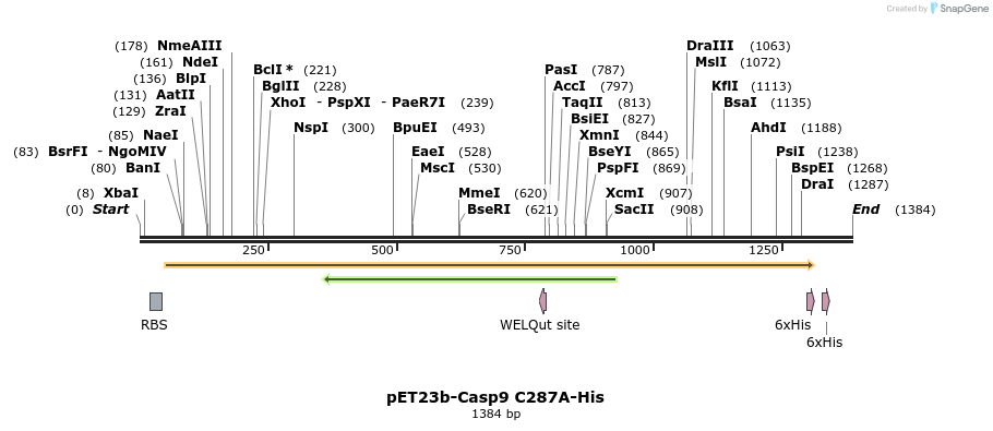 7084_map