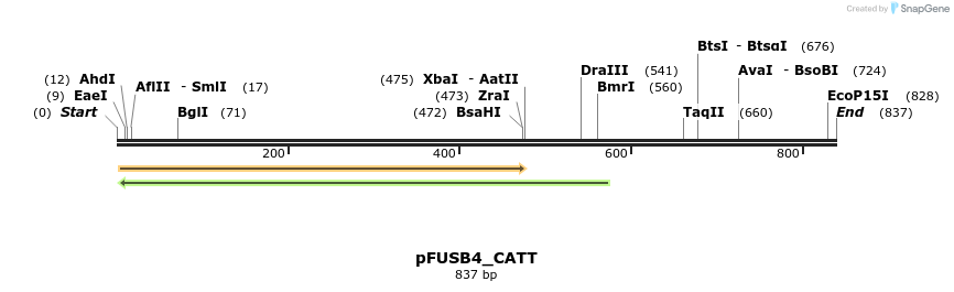 70841_map