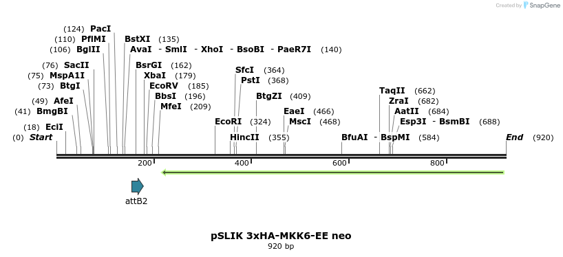 70843_map