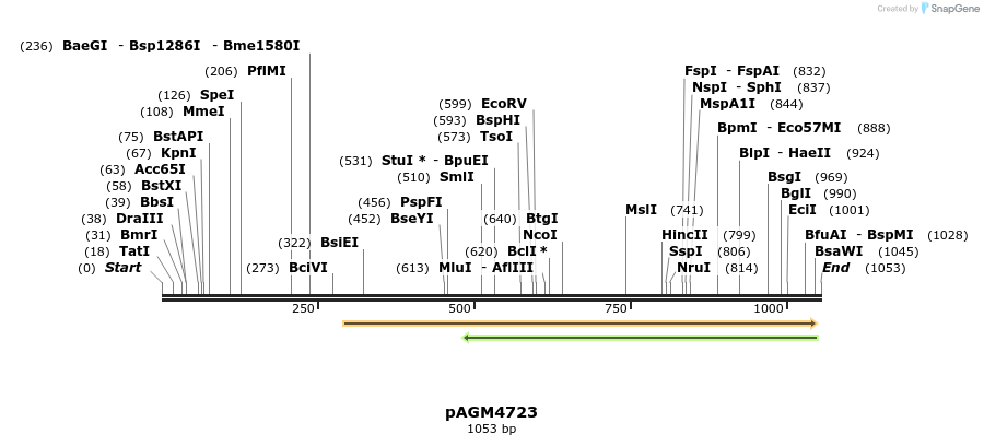 70845_map