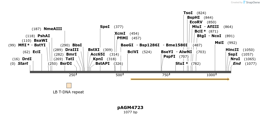 70846_map