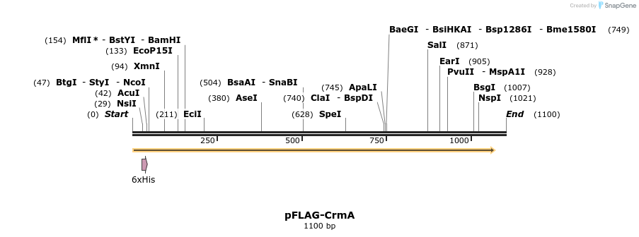 7085_map