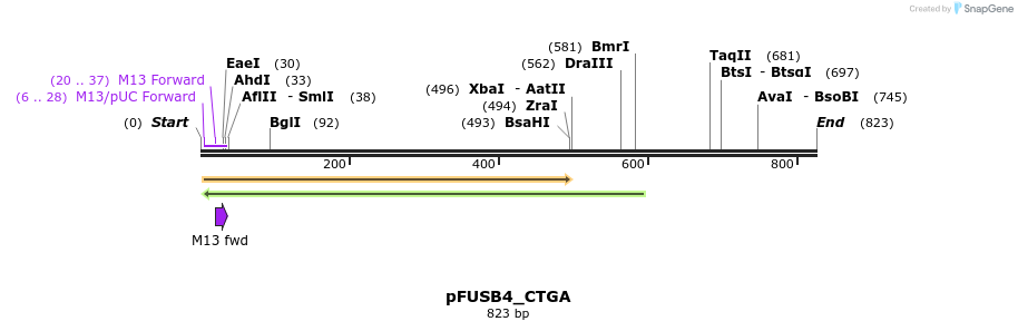 70858_map