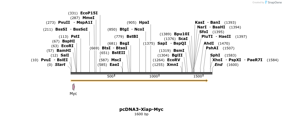 7087_map