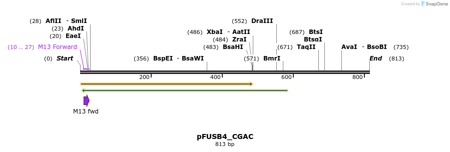 70870_map