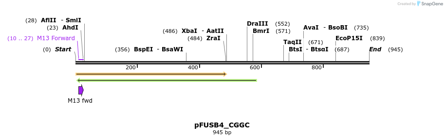 70871_map
