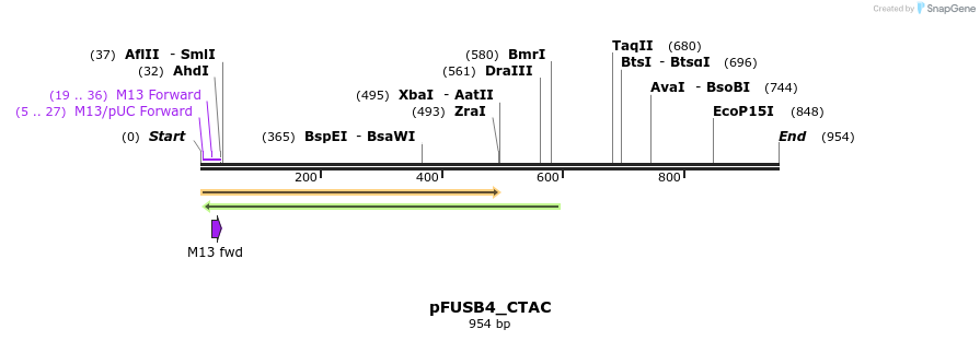 70872_map