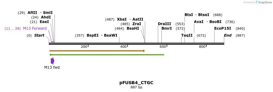 70873_map