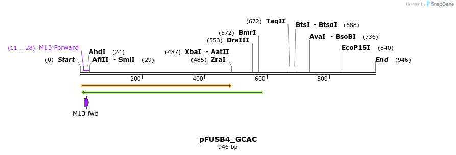 70877_map