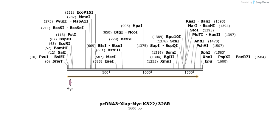 7088_map
