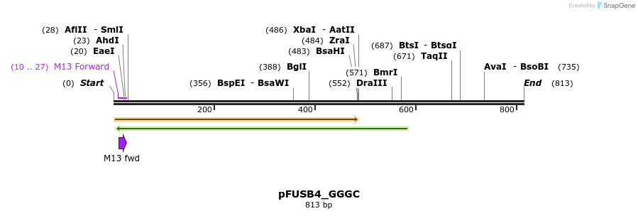 70880_map
