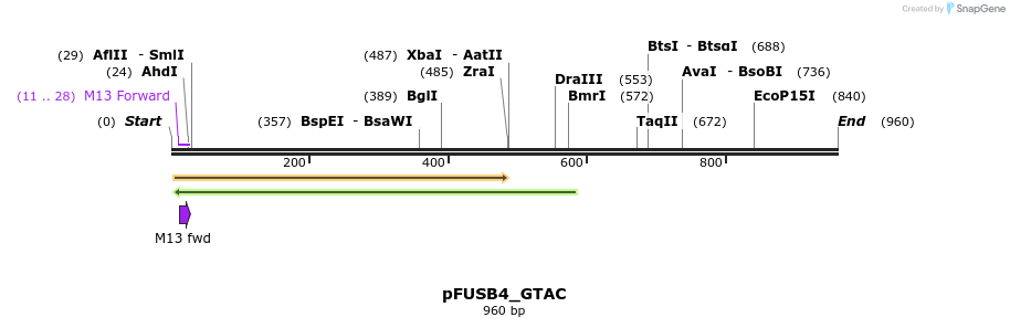 70882_map