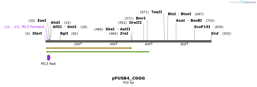 70886_map