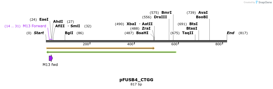 70889_map