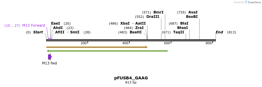 70890_map