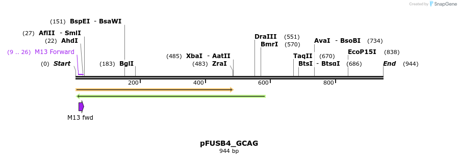 70892_map