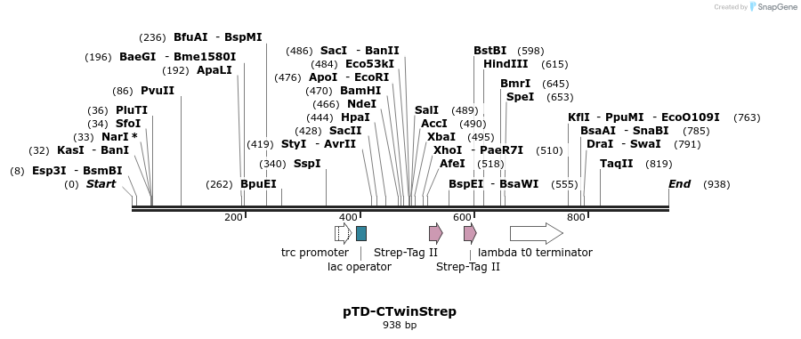 70895_map