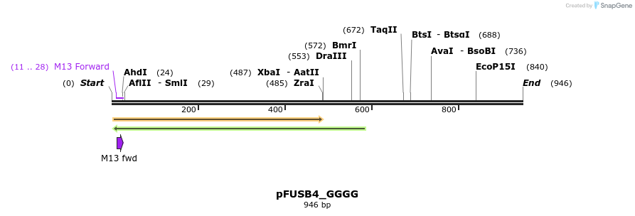 70896_map