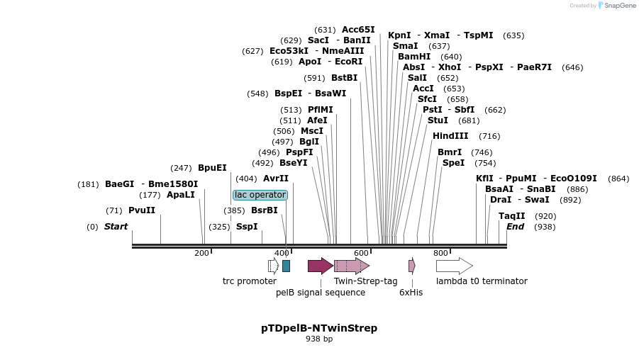70898_map