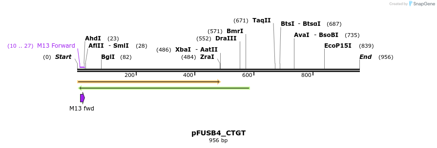 70904_map