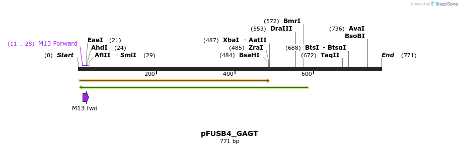 70906_map