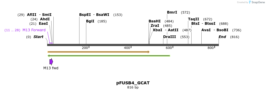 70907_map