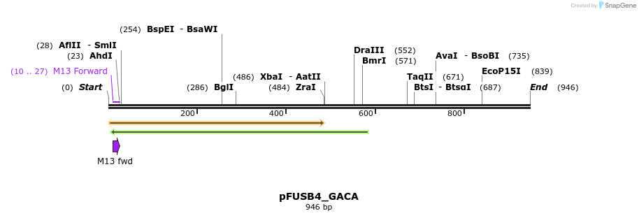 70917_map