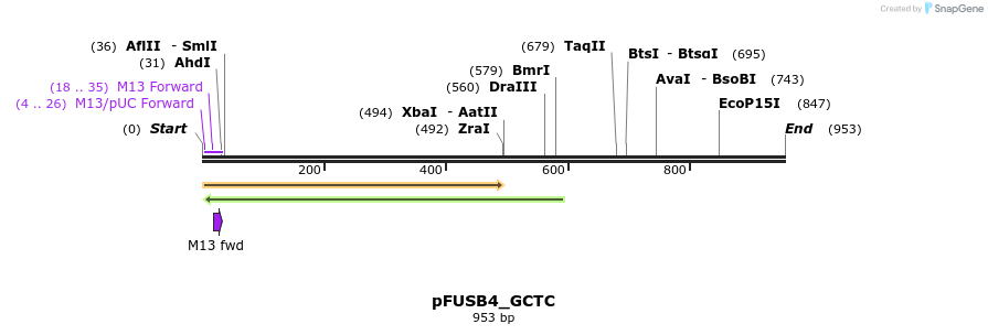 70934_map
