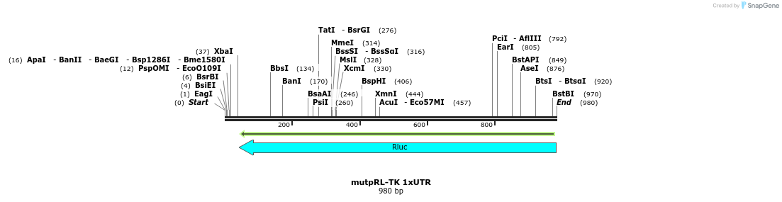 70935_map