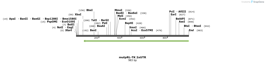 70936_map