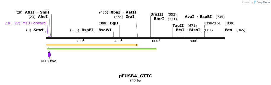 70941_map
