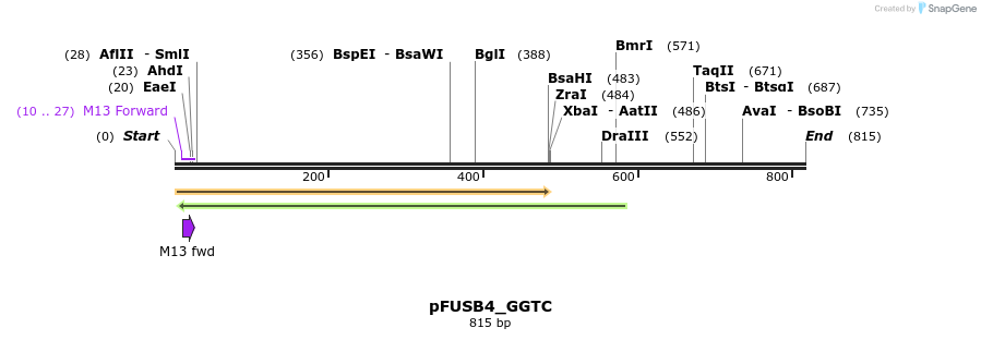 70942_map