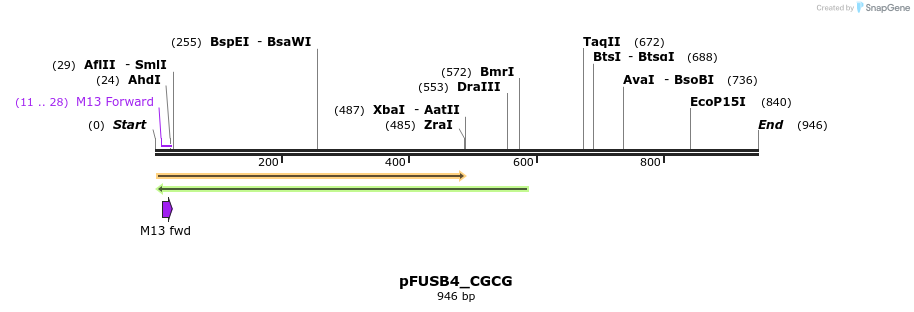 70950_map